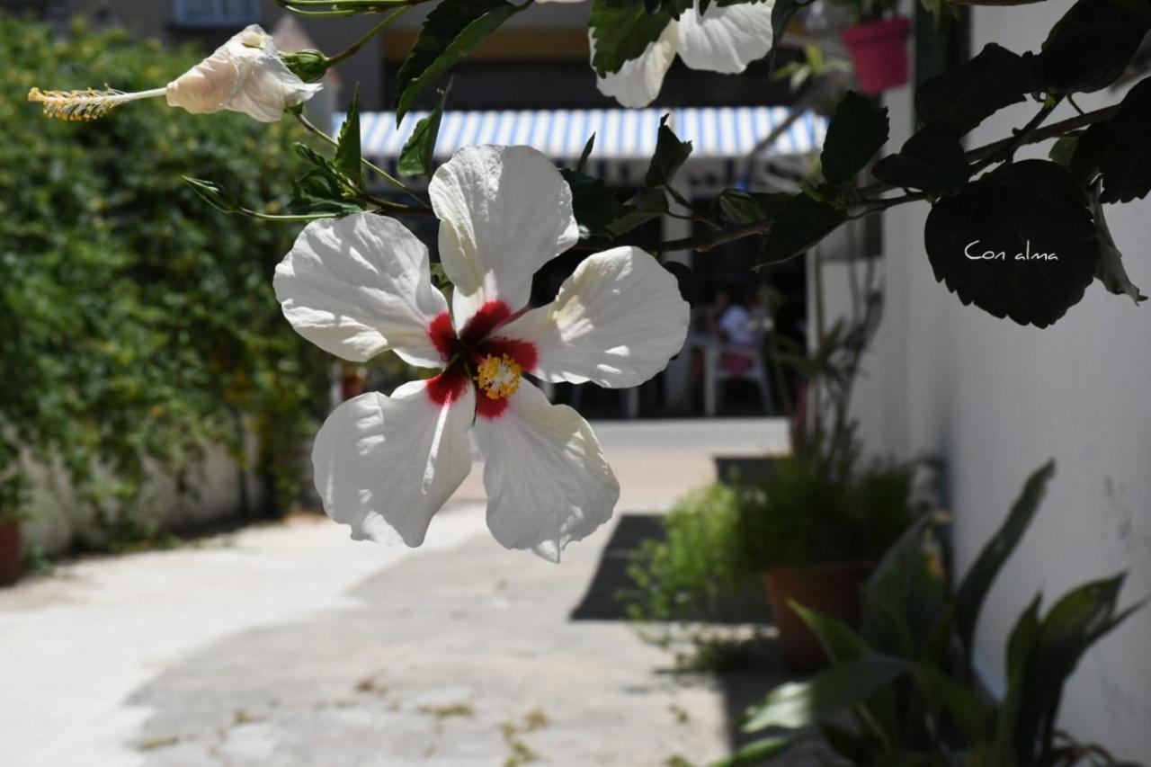 Guest house Costa De La Luz 2*