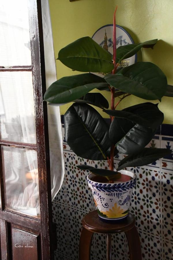Guest house Costa De La Luz Chipiona
